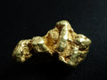 45.774g Klamath, California Gold Nugget
