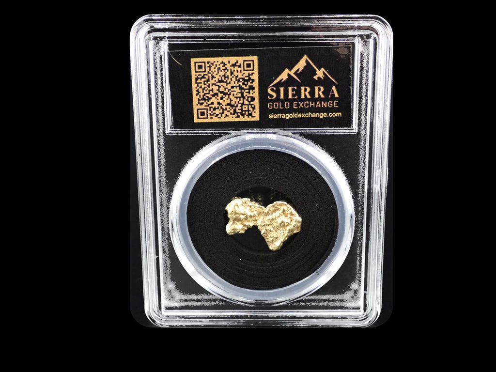 Canada natural gold nugget in sealed slab, 4.720g, SGE-2026-00150