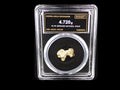 Canada natural gold nugget in sealed slab, 4.720g, SGE-2026-00150