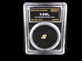 Nevada natural gold nugget in sealed slab, 0.940g, SGE-2026-00151
