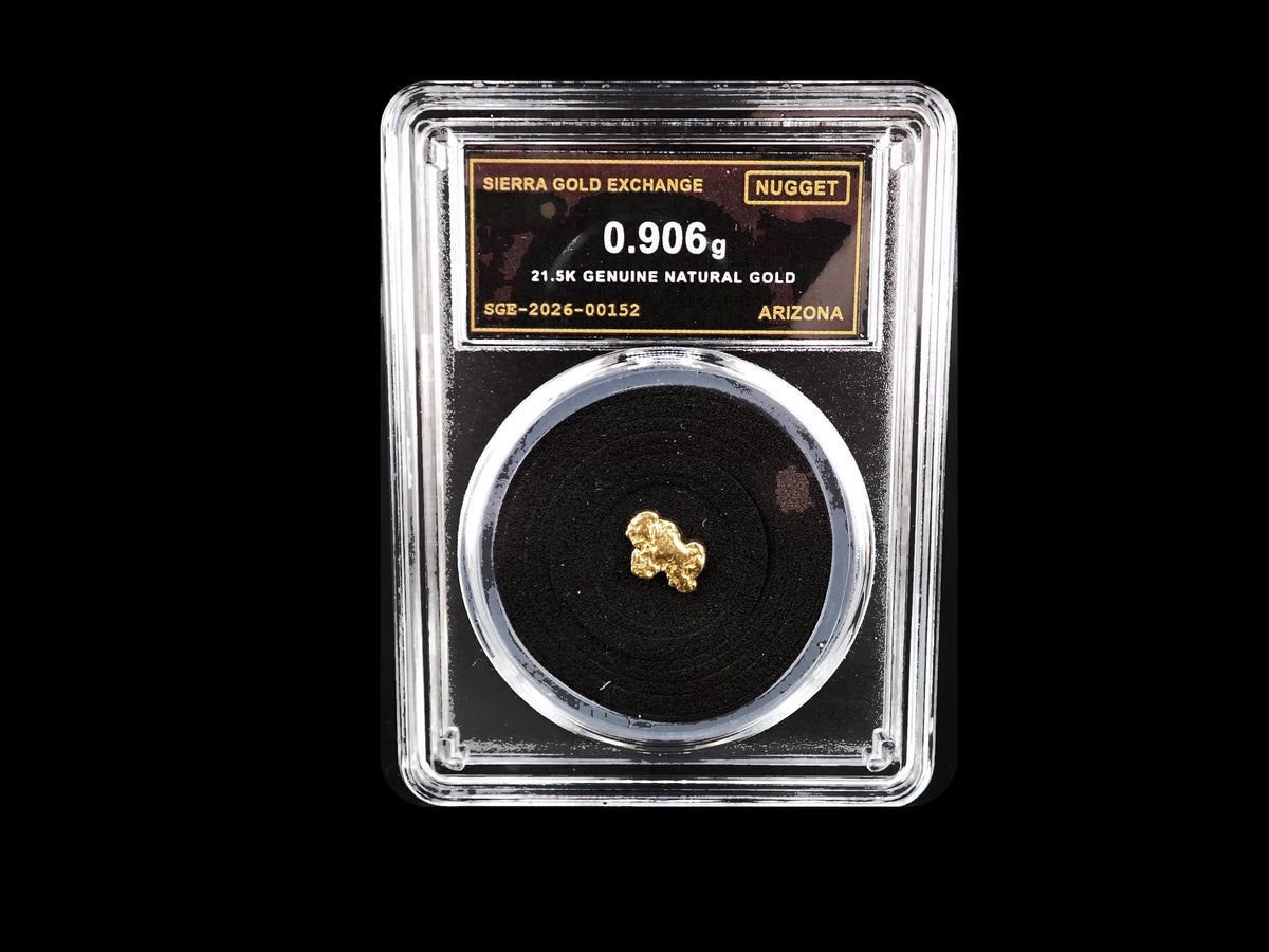 Arizona natural gold nugget in sealed slab, 0.906g, SGE-2026-00152