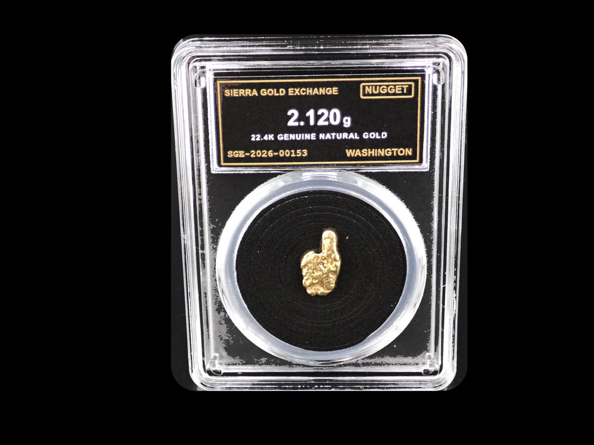 Washington natural gold nugget in sealed slab, 2.120g, SGE-2026-00153