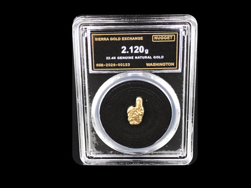 Washington natural gold nugget in sealed slab, 2.120g, SGE-2026-00153