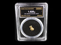 Oregon natural gold nugget in sealed slab, 1.620g, SGE-2026-00155
