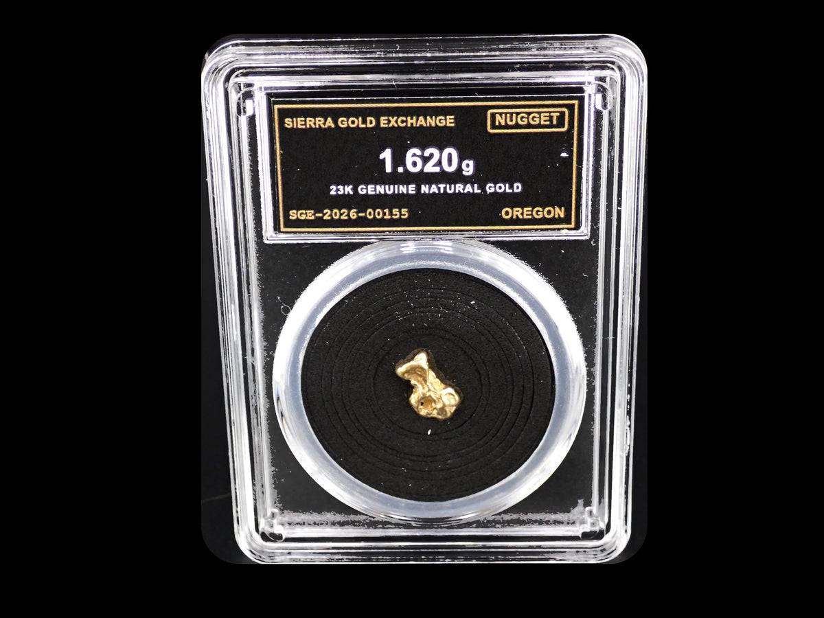 Oregon natural gold nugget in sealed slab, 1.620g, SGE-2026-00155