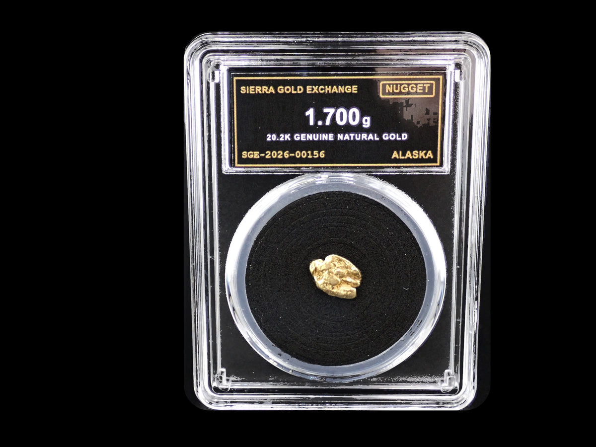 Alaska natural gold nugget in sealed slab, 1.700g, SGE-2026-00156