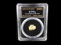 Sonora, Mexico natural gold nugget in sealed slab, 4.711g, SGE-2026-00158