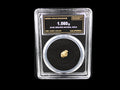 California natural gold nugget in sealed slab, 1.560g, SGE-2026-00159