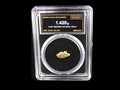 Nevada natural gold nugget in sealed slab, 1.420g, SGE-2026-00160