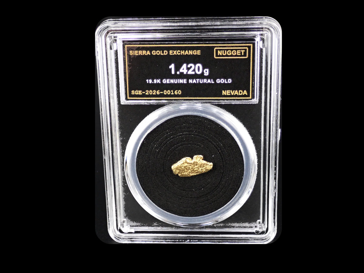 Nevada natural gold nugget in sealed slab, 1.420g, SGE-2026-00160