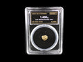 Alaska natural gold nugget in sealed slab, 1.430g, SGE-2026-00162
