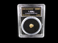 Alaska natural gold nugget in sealed slab, 1.520g, SGE-2026-00163