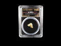 Oregon natural gold nugget in sealed slab, 4.980g, SGE-2026-00164