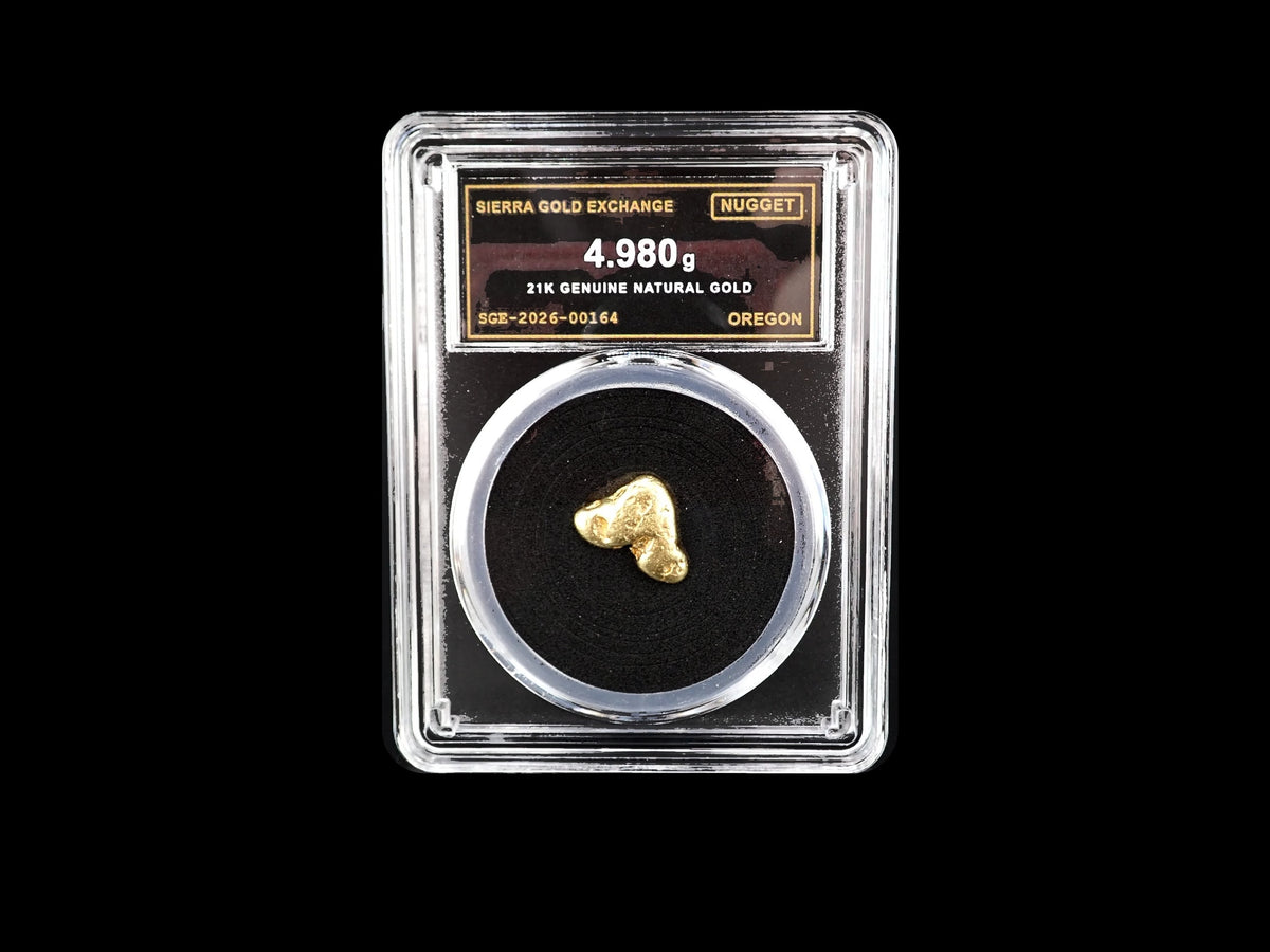 Oregon natural gold nugget in sealed slab, 4.980g, SGE-2026-00164