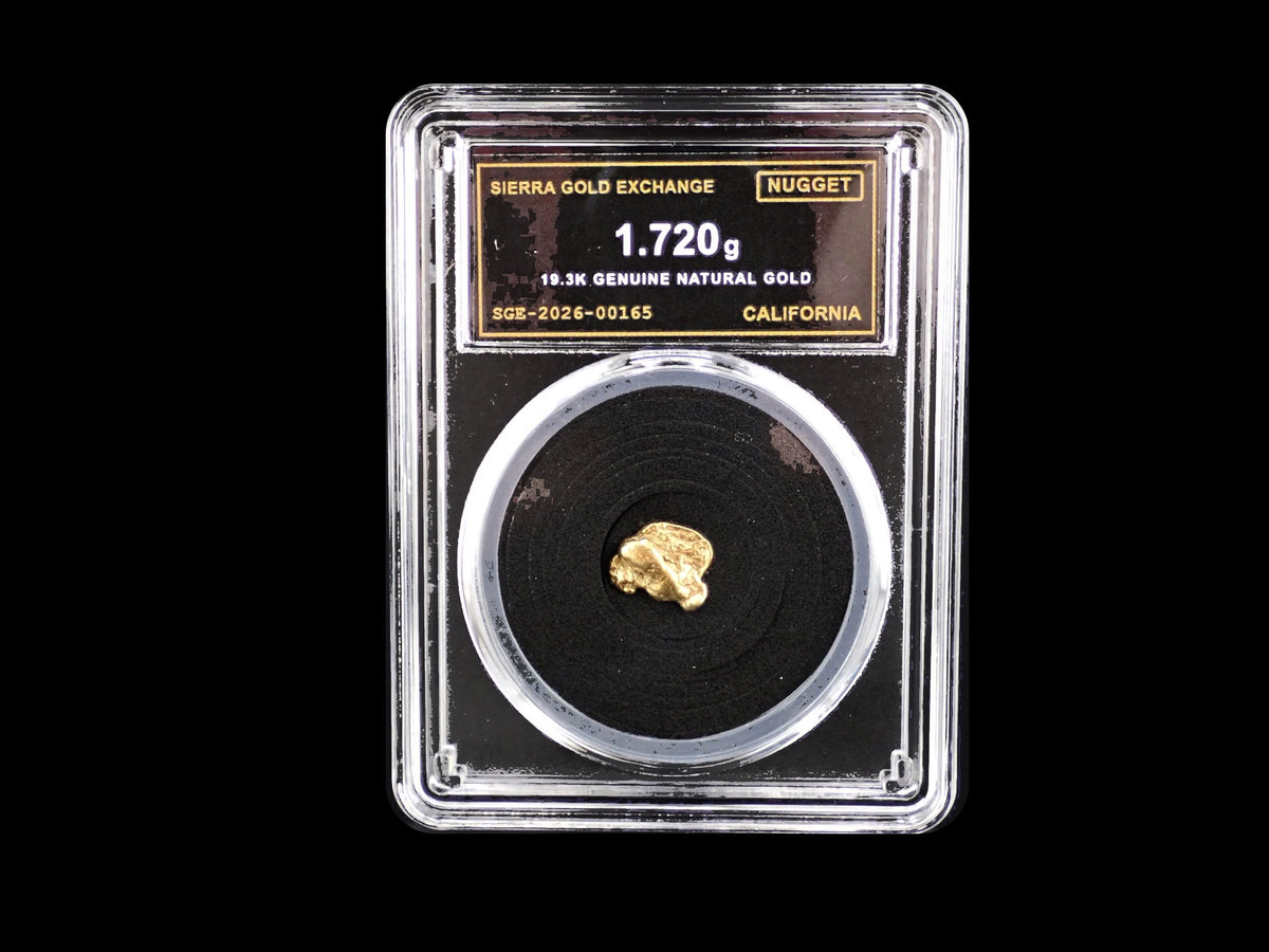California natural gold nugget in sealed slab, 1.720g, SGE-2026-00165
