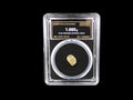 British Columbia, Canada natural gold nugget in sealed slab, 1.660g, SGE-2026-00166