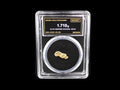 Nevada natural gold nugget in sealed slab, 1.710g, SGE-2026-00168