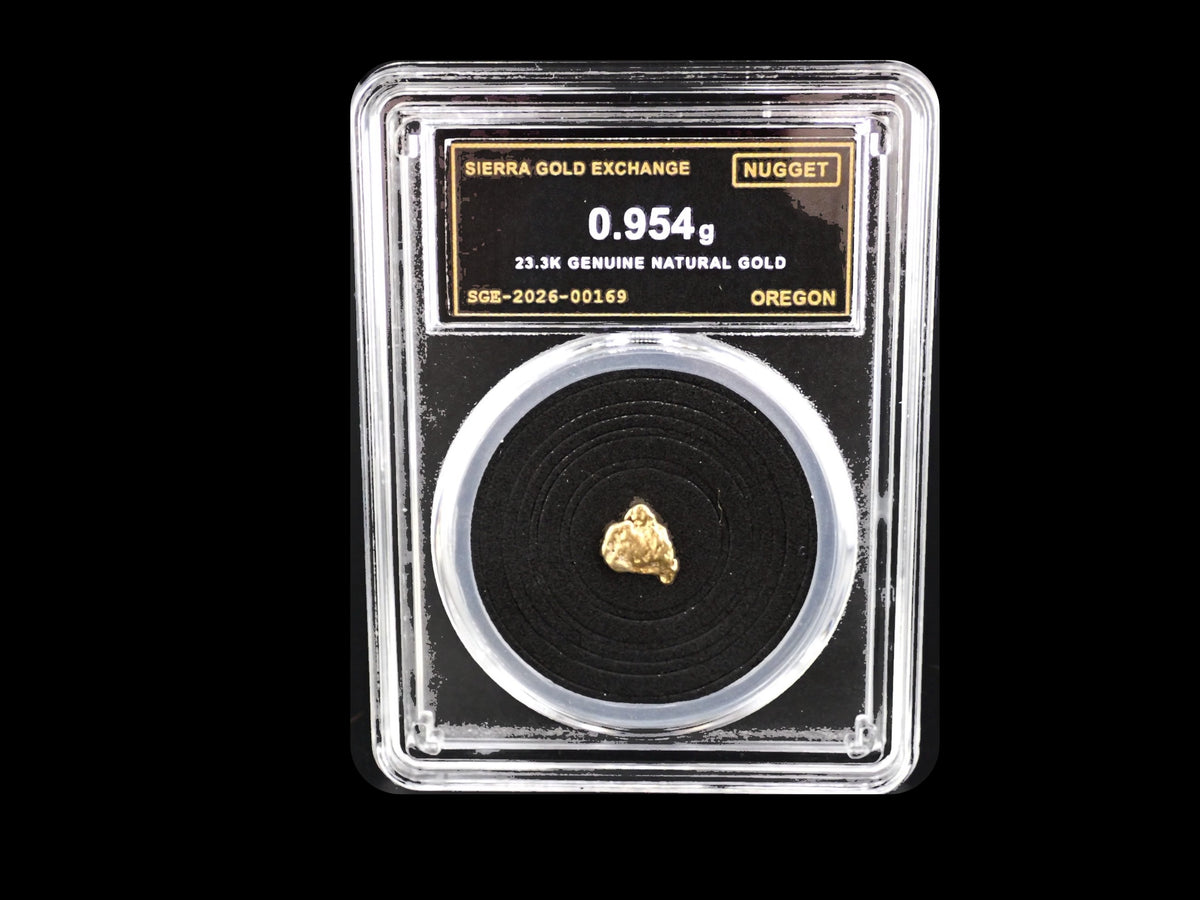 Oregon natural gold nugget in sealed slab, 0.954g, SGE-2026-00169