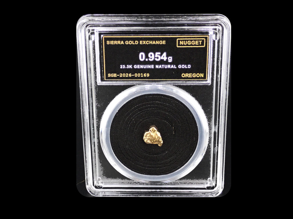 Oregon natural gold nugget in sealed slab, 0.954g, SGE-2026-00169