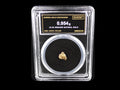 Oregon natural gold nugget in sealed slab, 0.954g, SGE-2026-00169