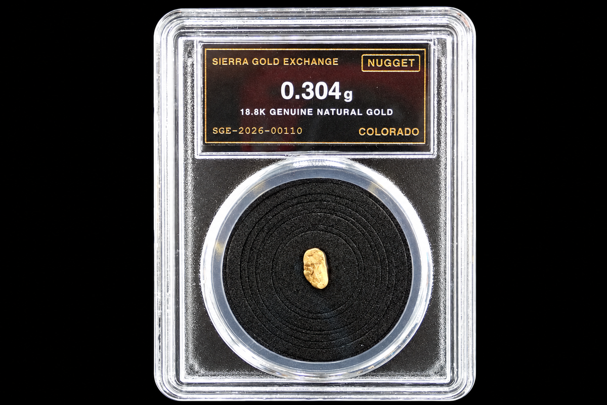 Colorado natural gold nugget sealed in slab, 0.304g, 18.8K, serial SGE-2026-00110, black background
