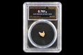 Nevada gold nugget in sealed slab, 0.761g, 20.5K, serial SGE-2026-00119, black background