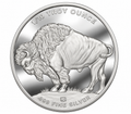 1/10 oz Silver Round - Buffalo