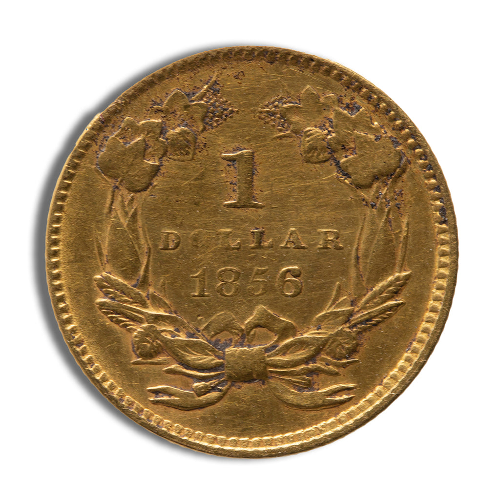 $1 Gold Indian Type 3 - XF