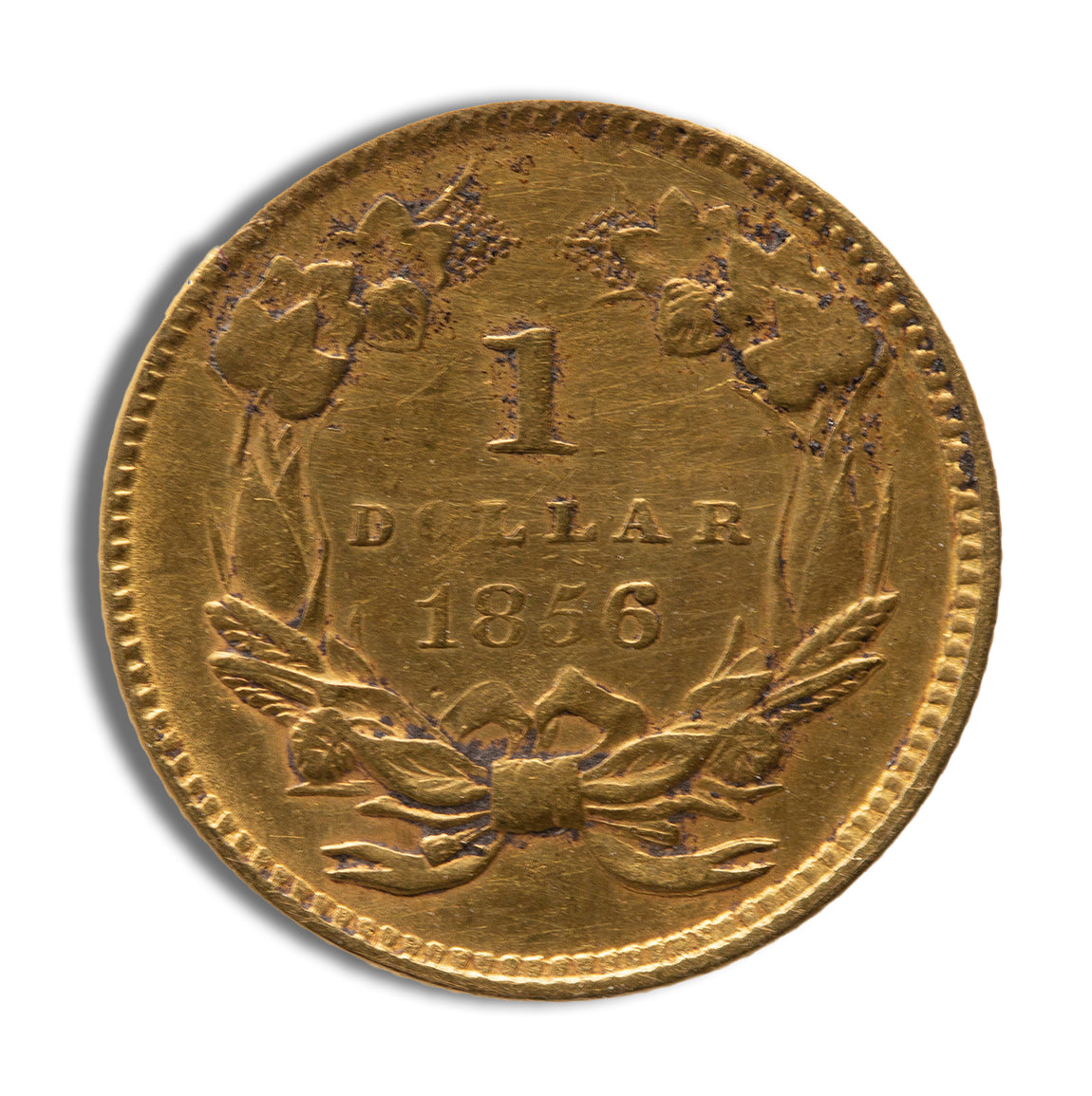 $1 Gold Indian Type 3 - XF