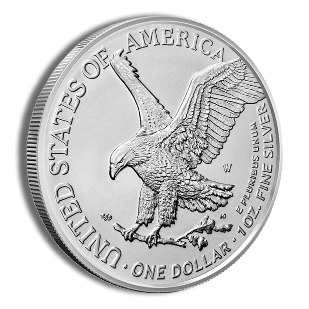 2023-W Burnished Silver Eagle with Box & COA